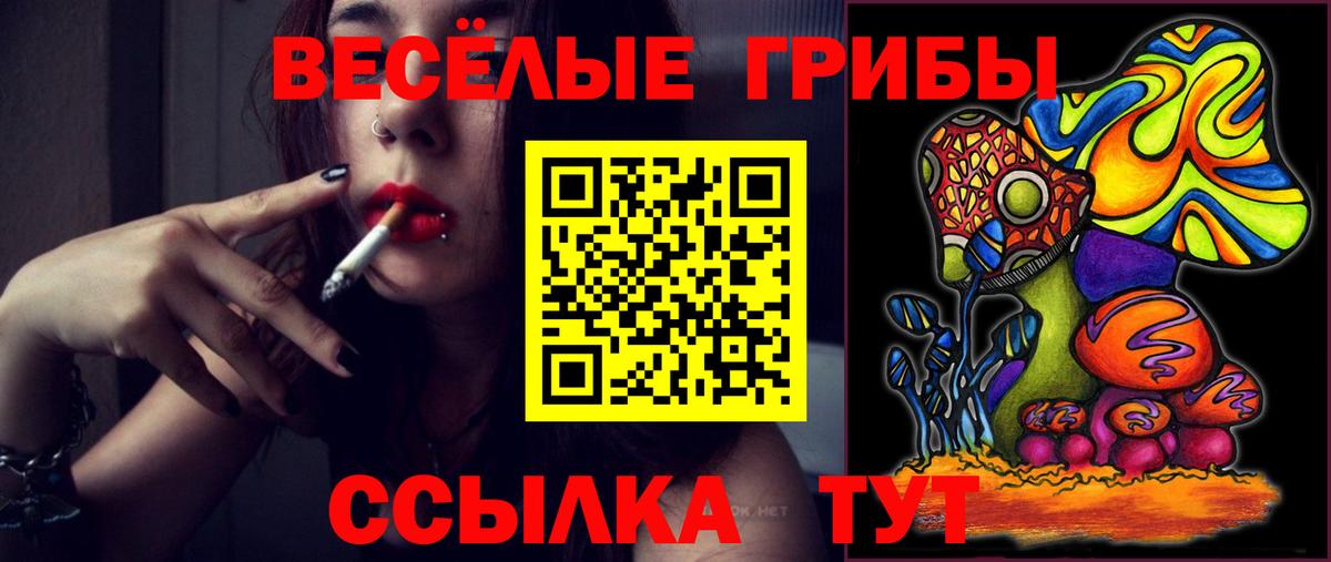 Борзя  Псилоцибиновые грибы GOLDEN TEACHER  закладки  Вход с VPN 
